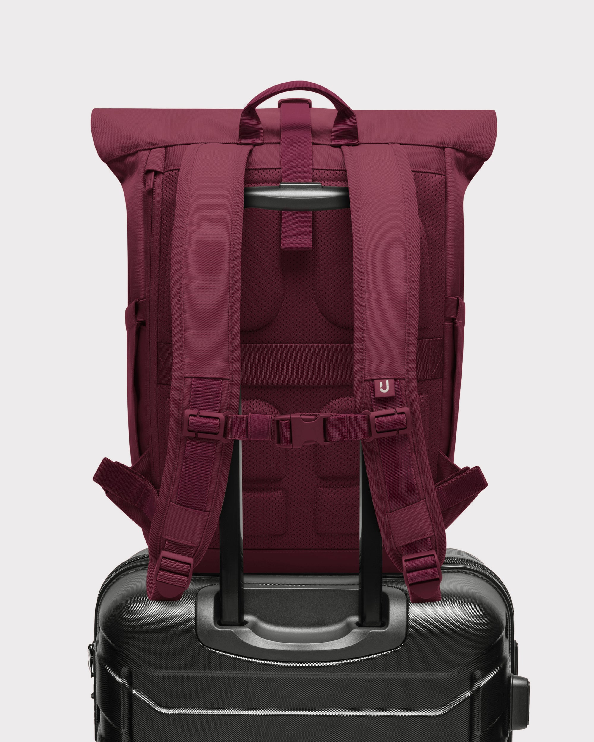 Rolltop Rucksack "Allen Medium 2.0" - Image 70